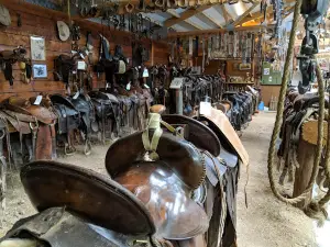 Bailey Saddleland Museum