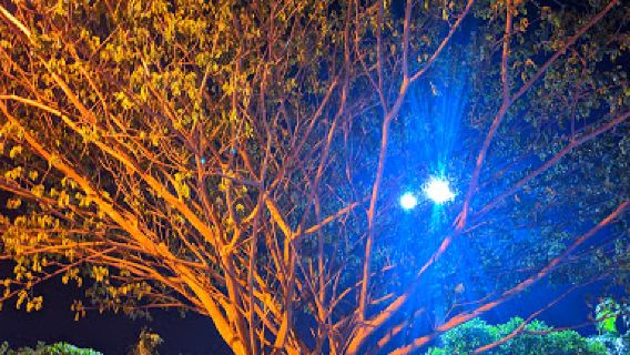 ALUN - ALUN ENGKU PUTRI GERBANG SELATAN