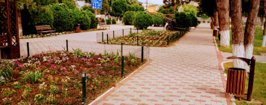 Central Park