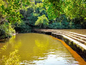 Parque do Conduto