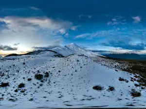 Mirador del Bosque