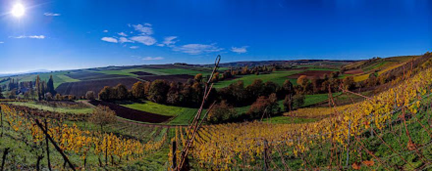 Aussichtsturm am Roxl-Weg