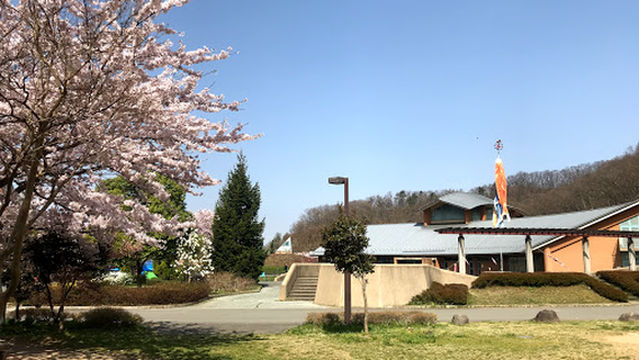 Yamagata City mamigasaki pool