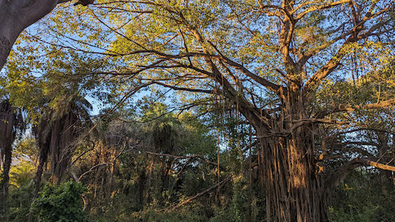 Parque Fluvial Vallarta