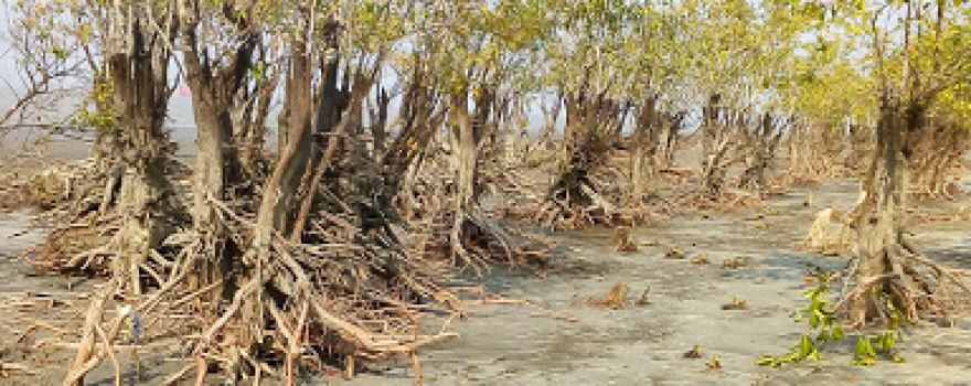 Shuvo Sondha Sea Beach