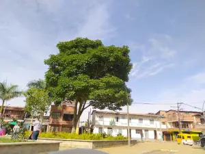 Parque Principal