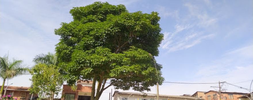 Parque Principal
