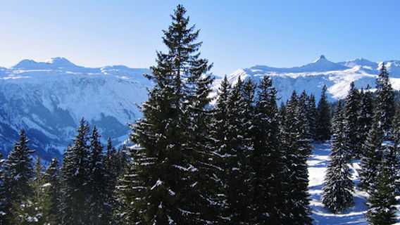 Camping Tannenbodenalp