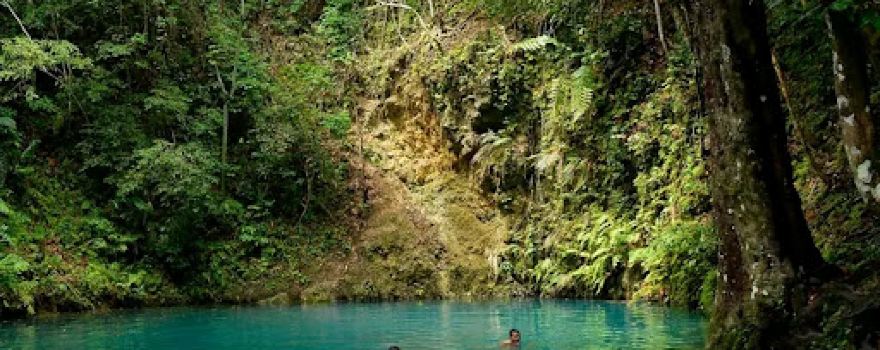 Canawa Cold Spring
