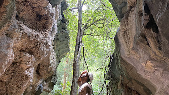 Fazenda Goiabeiras - Funilândia MG