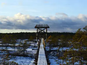 Männikjärve matkarada