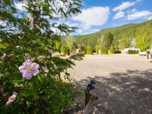 Blind Bay Resort