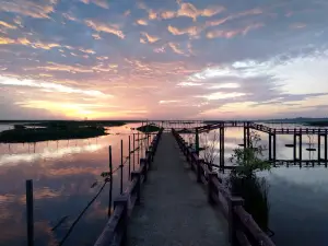 Thale Noi Non-Hunting Area