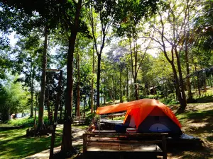 Doi Chong National Park