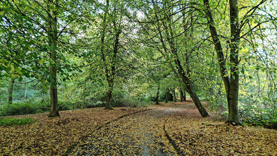 Summit of Robinswood Hill