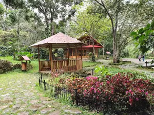 La Gruta, Virgen Inmaculada Concepcion