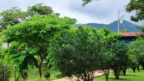 Balneario Aremi