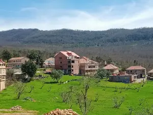 yakouren