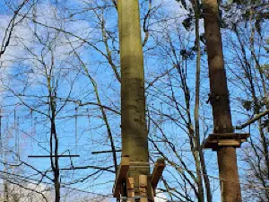 Hochseilgarten Lüetjensee
