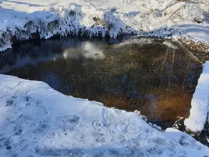 Teplyy Istochnik V Vyazemskom Rayone