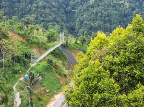 Warung puncak selfie