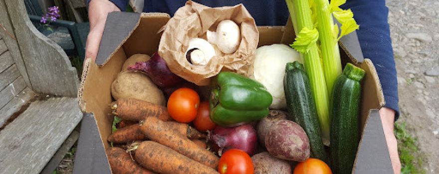 Bridgefoot Organic Co-op