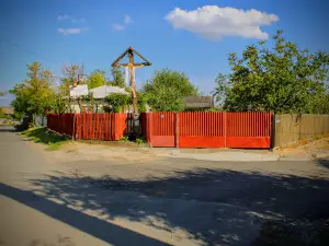 Muzeul Satului Vâlcean