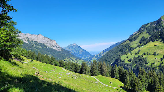 Reichenbach im Kandertal