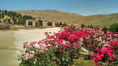 Turkish Soldiers Memorial