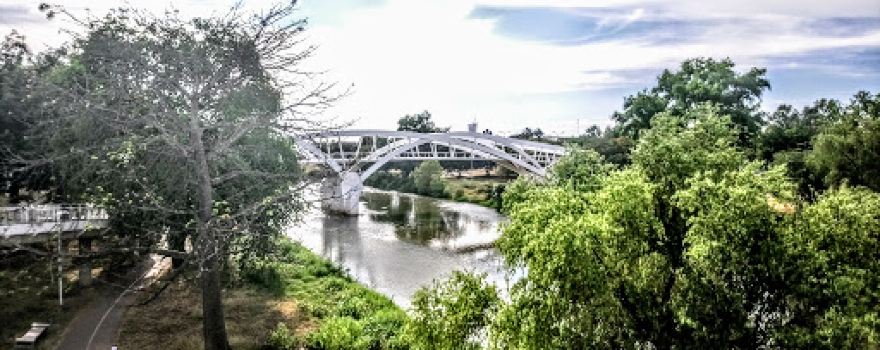 Parque Constitución