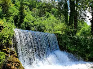 Riserva Naturale Lago di Posta Fibreno