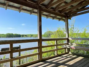 Noxubee Refuge. Bluff Lake Boardwalk