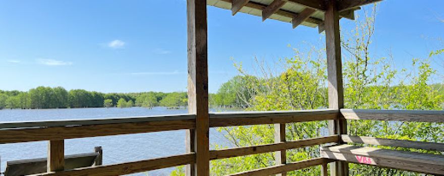 Noxubee Refuge. Bluff Lake Boardwalk