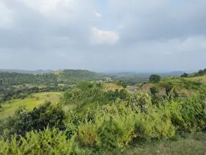 View Point Parasia Highway