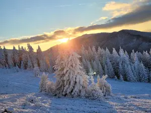 Sun plateau ski slope