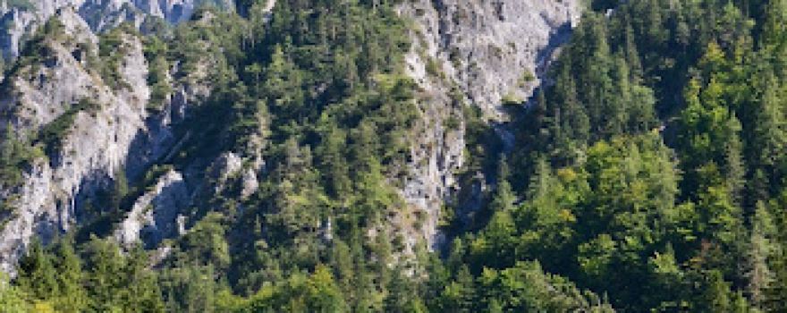 AOS - Adventure Outdoor Strobl