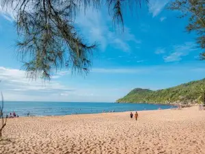 Dao Nghi Son