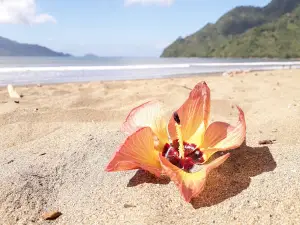 Pantai Cengkrong