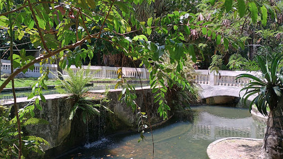 Zoológico JP (BICA)