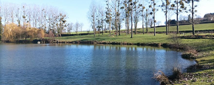 Etang du hérisson