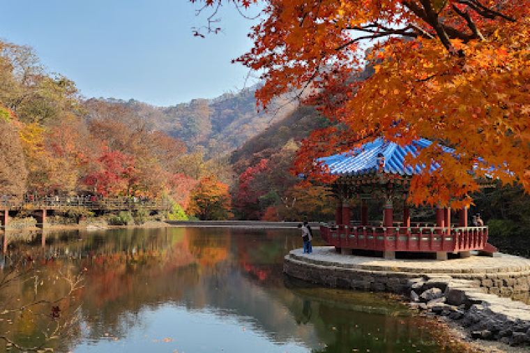 정읍