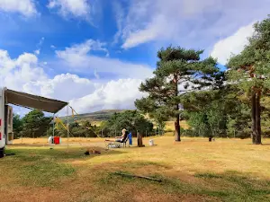 Camping the Bonales