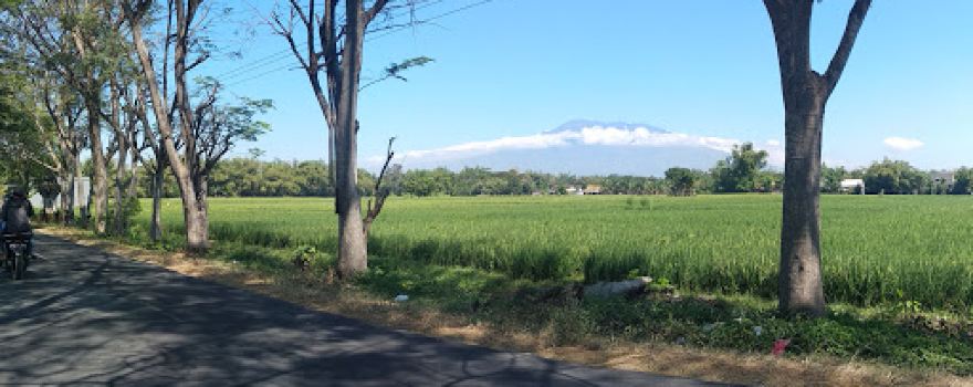 Lapangan Desa Tepas