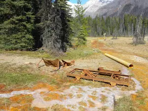Wildwood Campsite & Trailer Pk