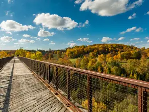 Doube's Trestle Bridge