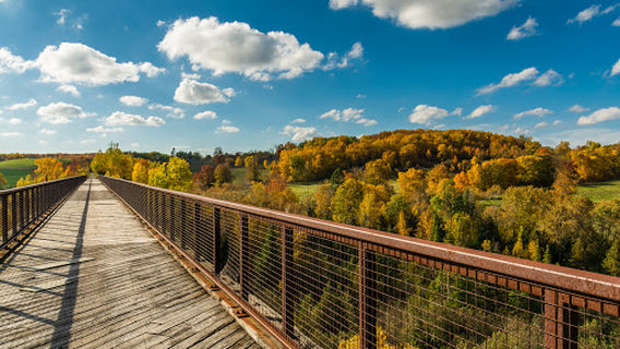 Doube's Trestle Bridge