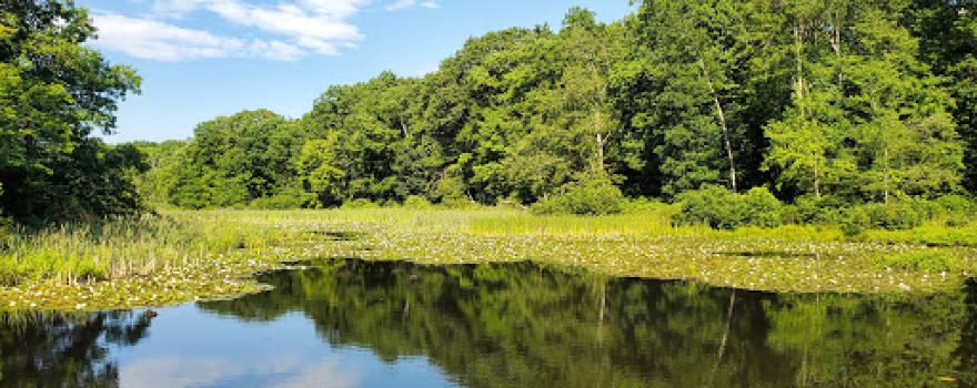 Muriel Hepner Nature Park