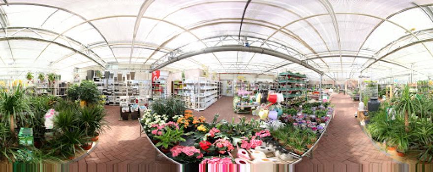 Gartencenter Bachmann GmbH