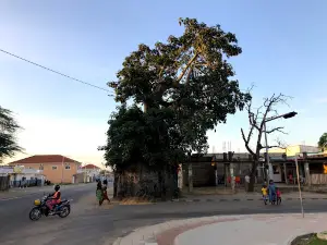 Largo 1º de Maio