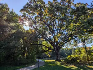 Secor Metropark
